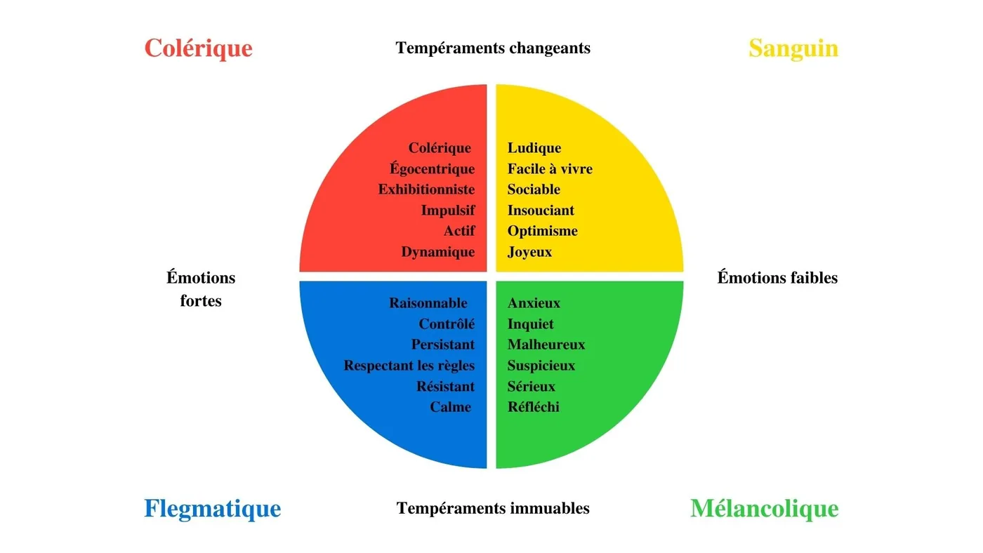 Les profils du test DISC